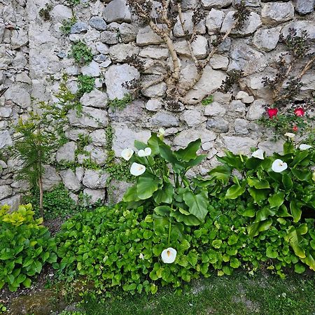 Gardainn Giardino 38A Riva del Garda Exteriör bild