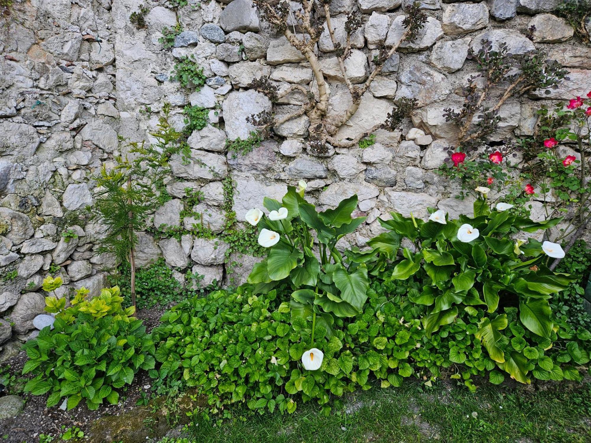 Gardainn Giardino 38A Riva del Garda Exteriör bild
